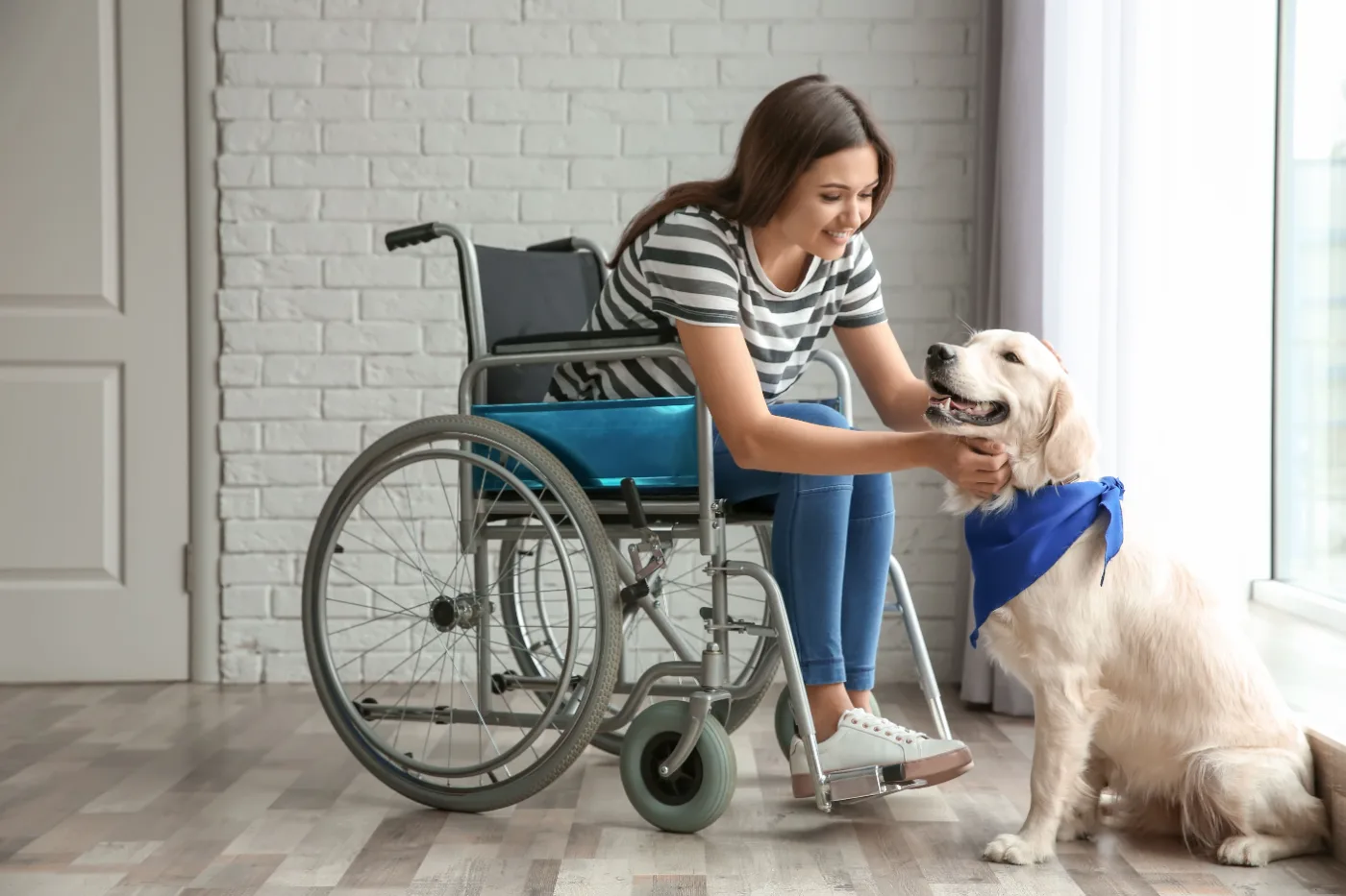 A young woman in a wheelchair at home greeting an assistance dog wearing a blue bandana